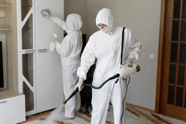 Trusted Sewage Cleanup service in Milford, MI - Four Month Blood Cleanse
